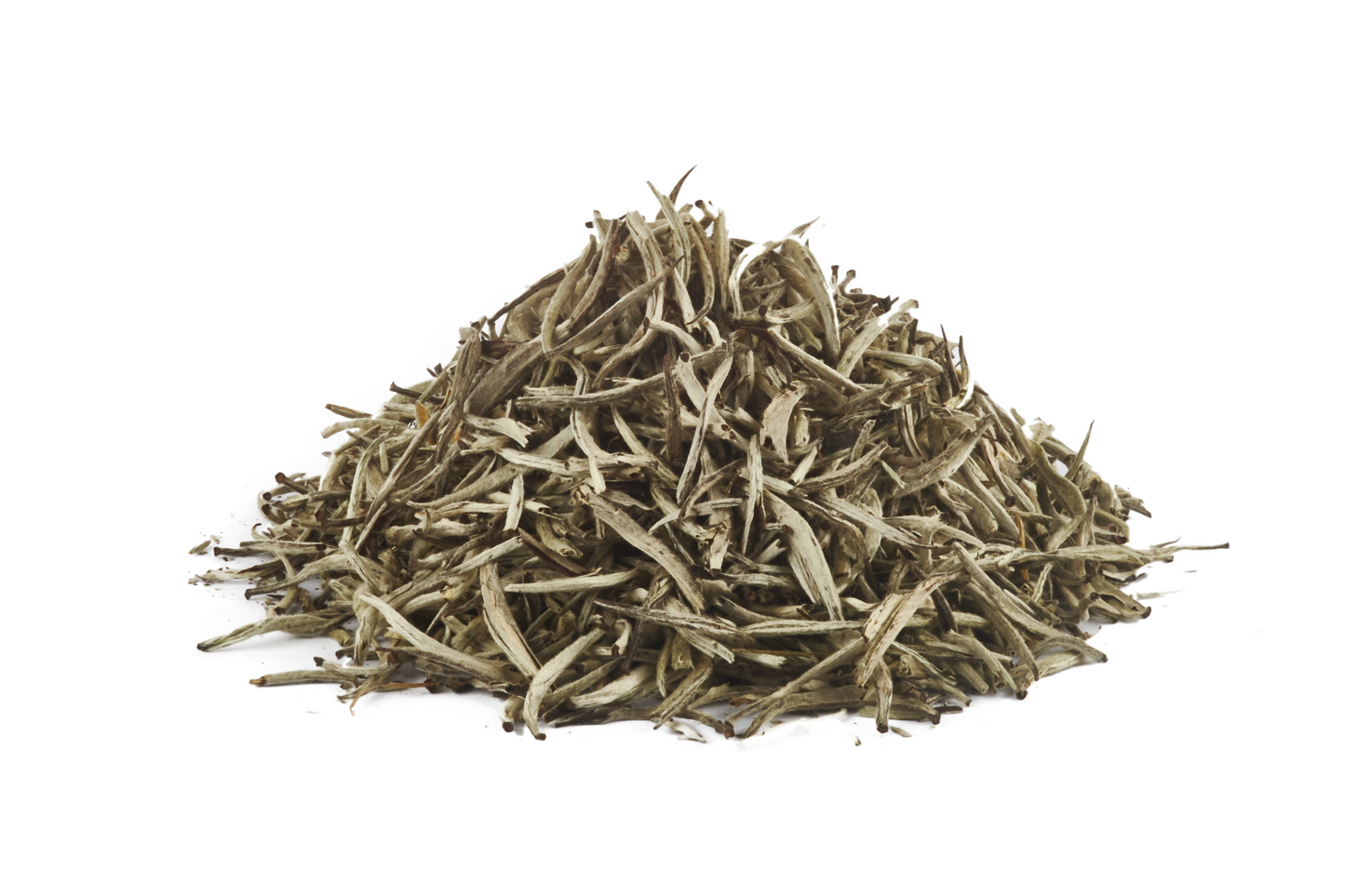 White Tea Bud (Wholesale)